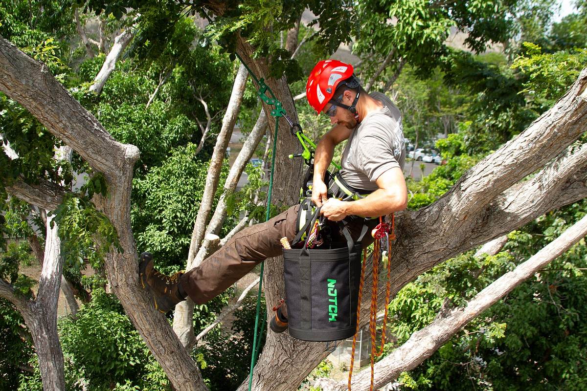 Tree removal work near a residential property